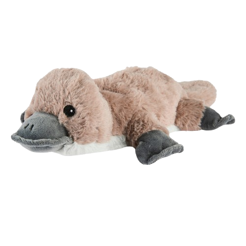 7042_Platypus-removebg-preview