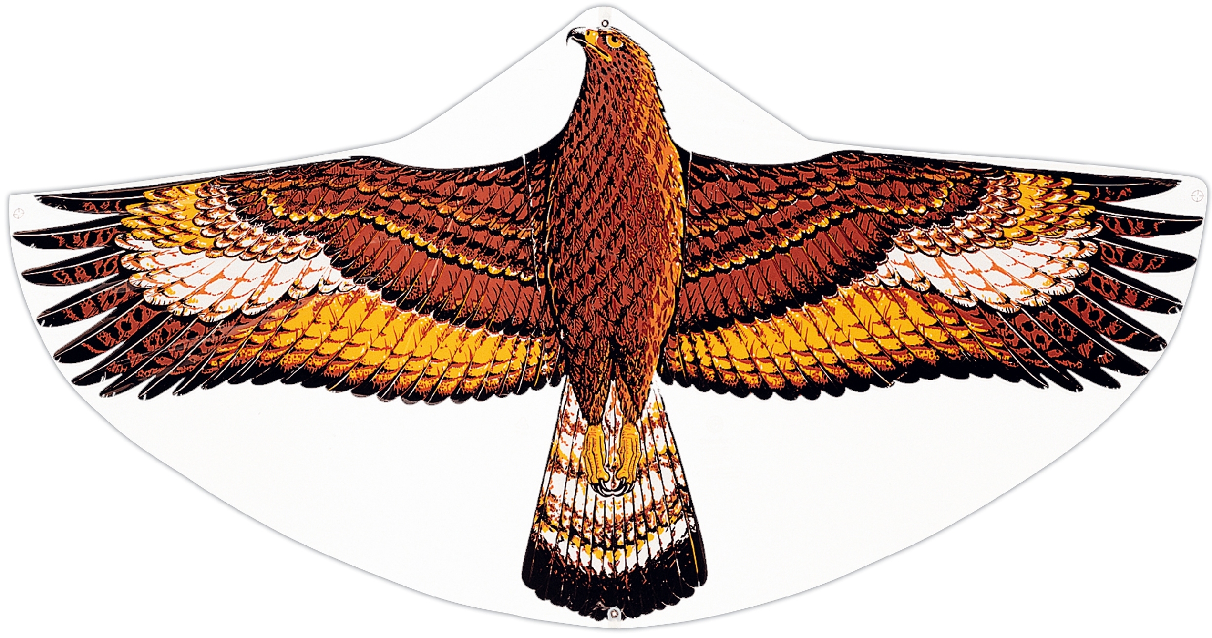 01_1146Steinadler_mod